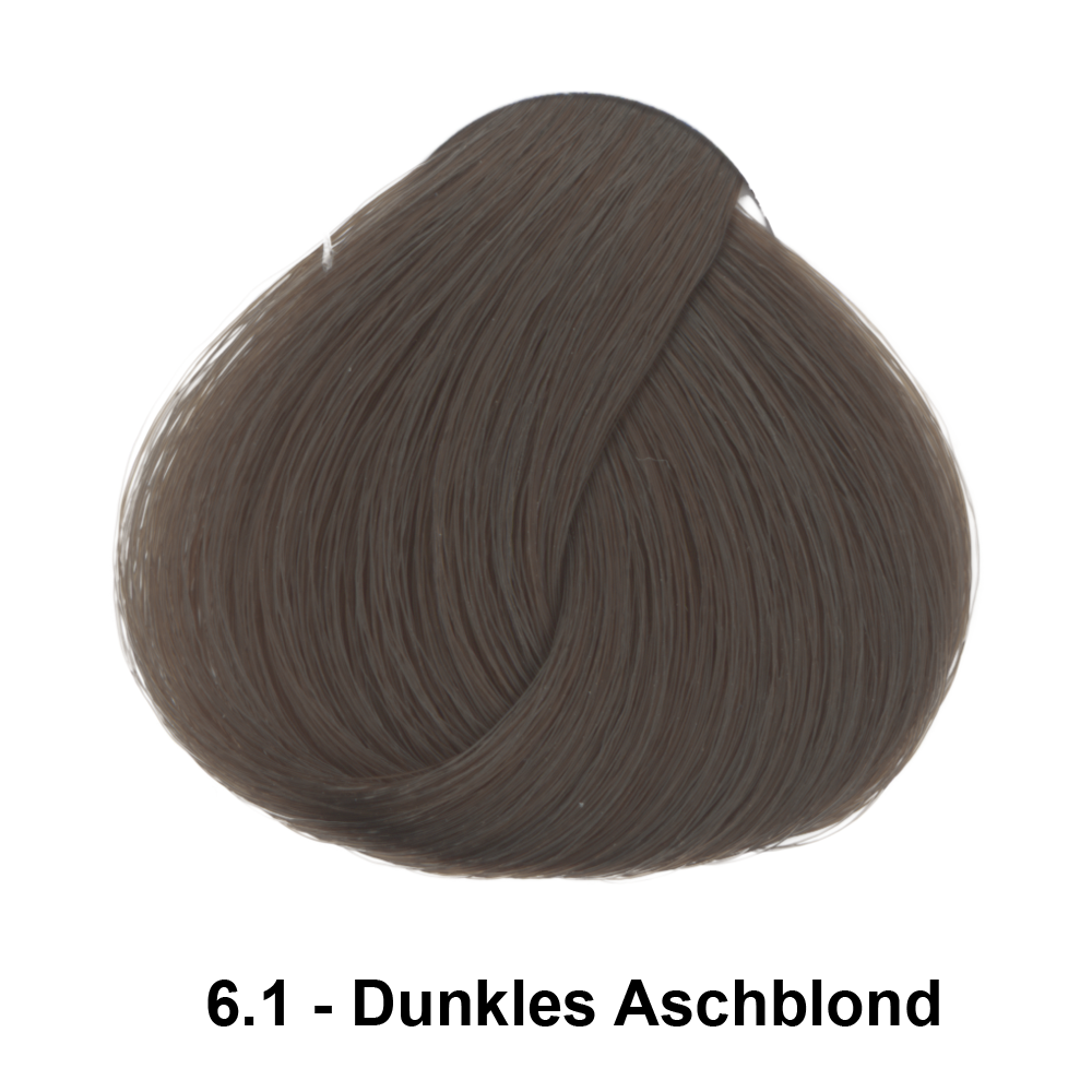 6.1 Dunkles Aschblond