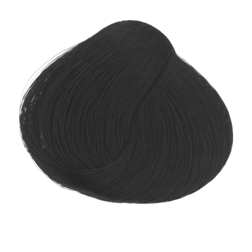 Tinctorial Plants 1 Schwarz 40g