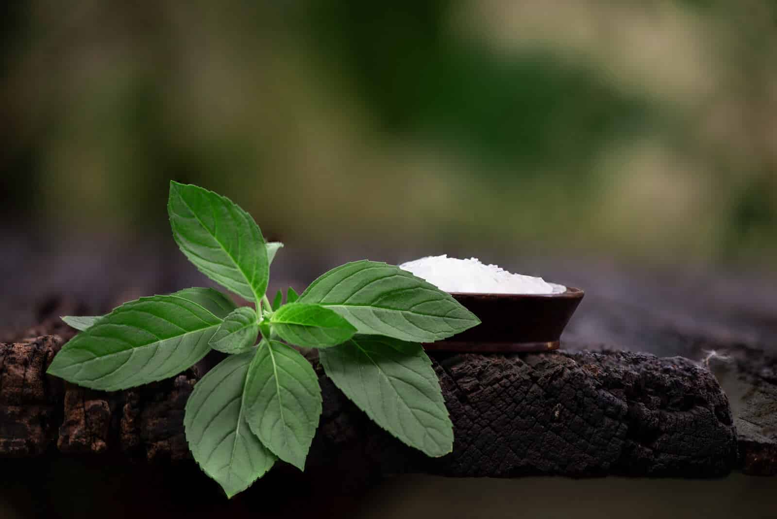 Menthol