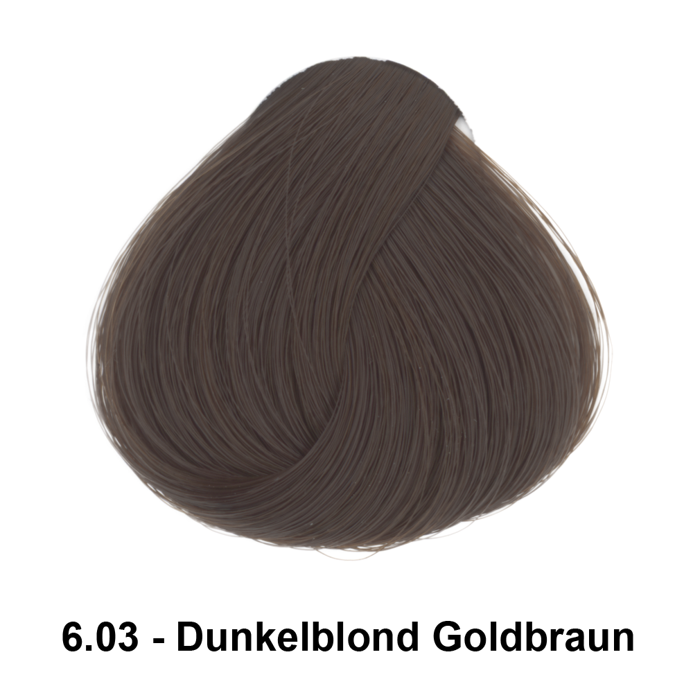 6.03 Dunkelblond Goldbraun